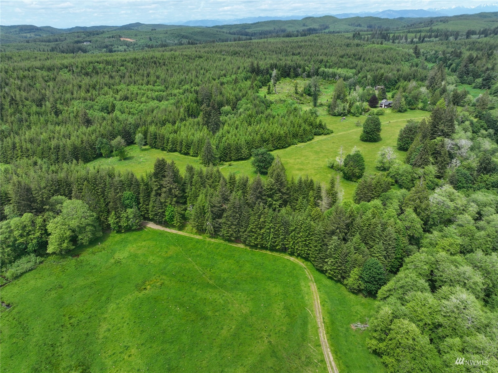 377 Bush Creek Road Elma, WA 98541 - Photo 27 of 39 Gallery Image 27