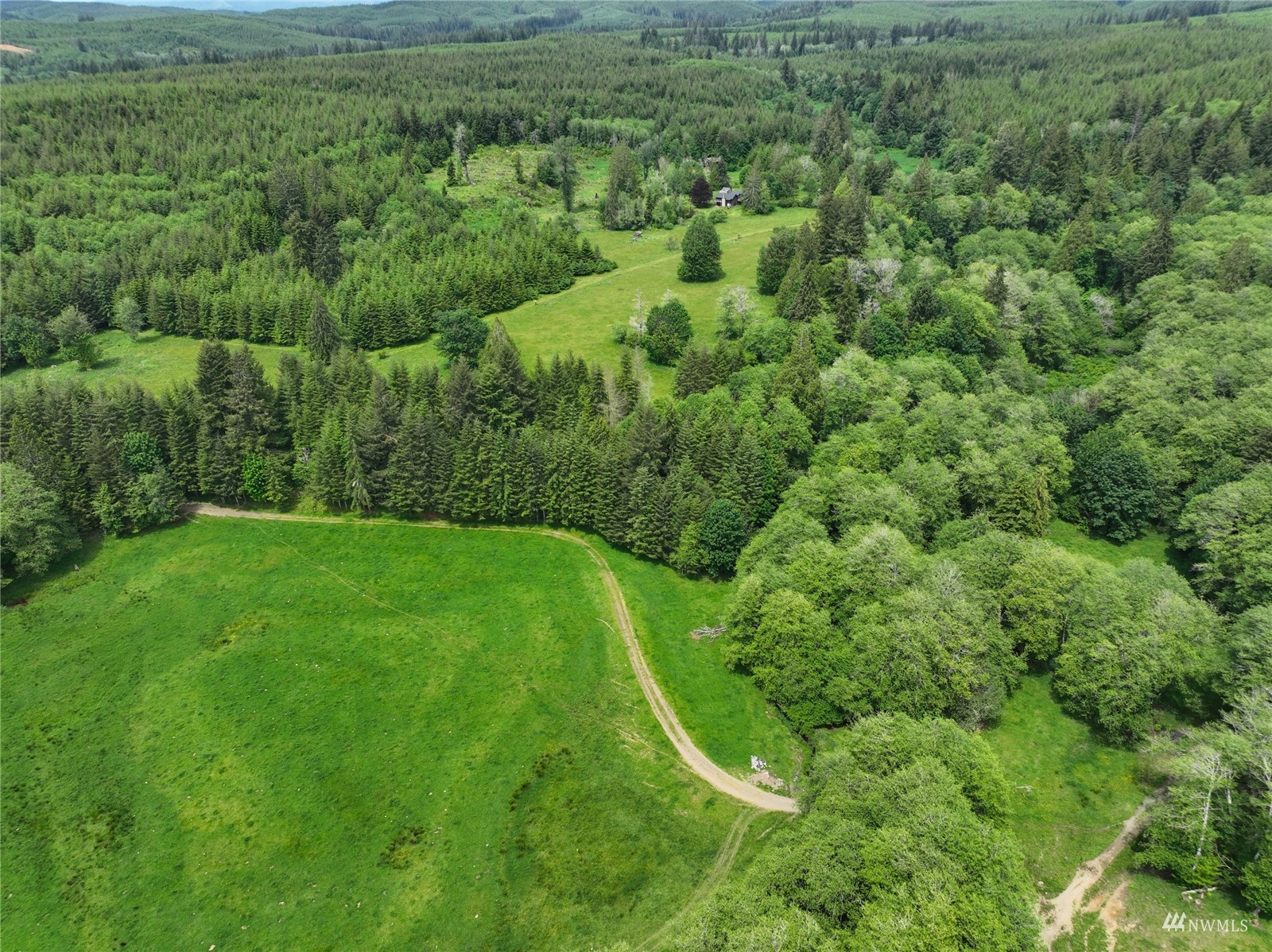 377 Bush Creek Road Elma, WA 98541 - Photo 30 of 39 Gallery Image 30