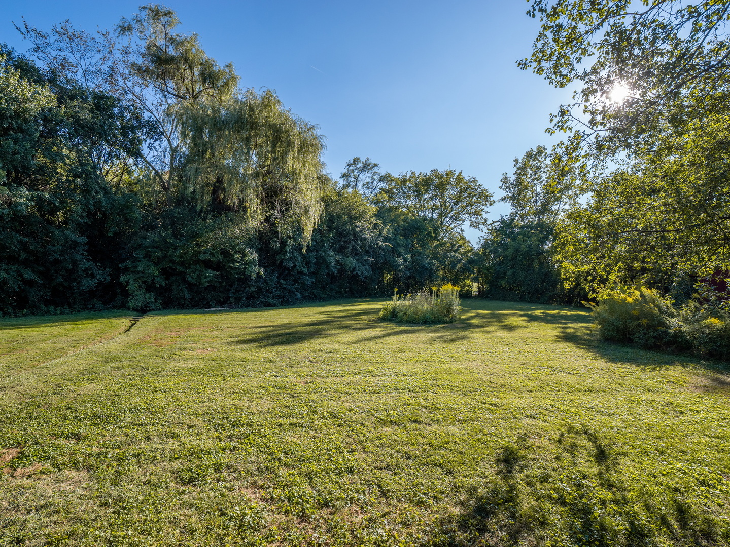 35 Plum Grove Road Roselle, IL 60172 - Photo 10 of 13 Gallery Image 10