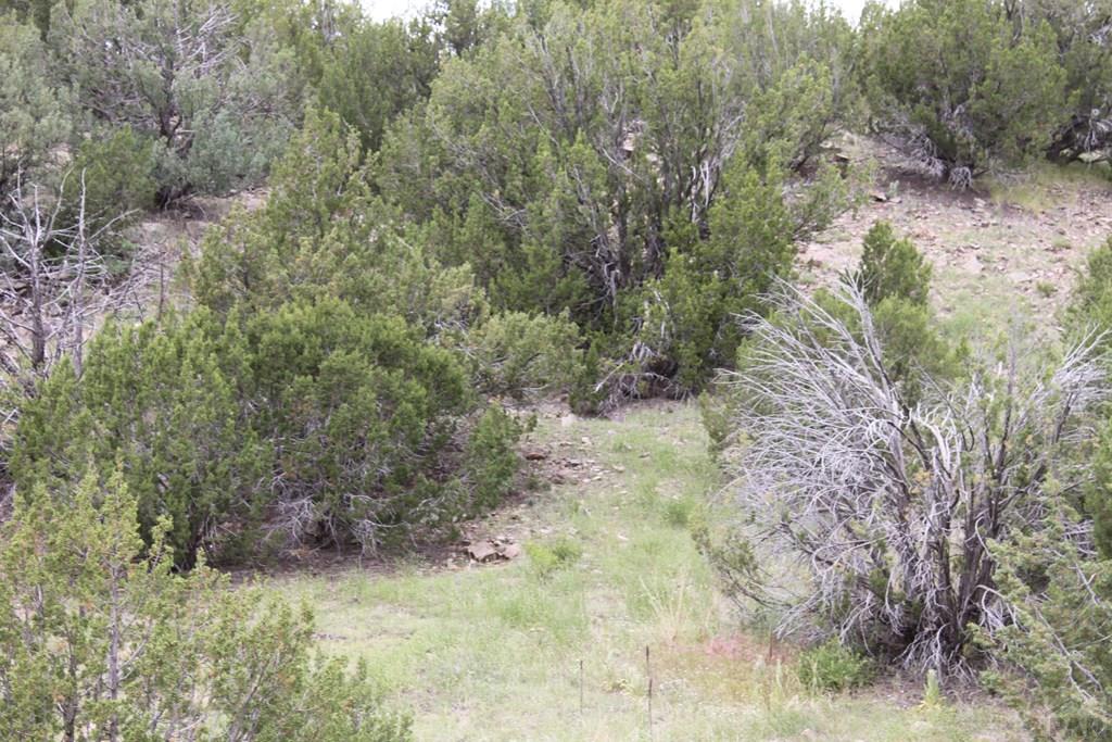Tbd South Tbd S Waterbarrel Road Beulah, CO 81023 - Photo 5 of 21