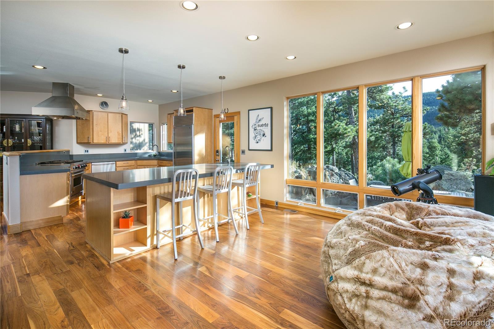 2156 Magnolia Road Nederland, CO 80466 - Photo 4 of 39 Gallery Image 4