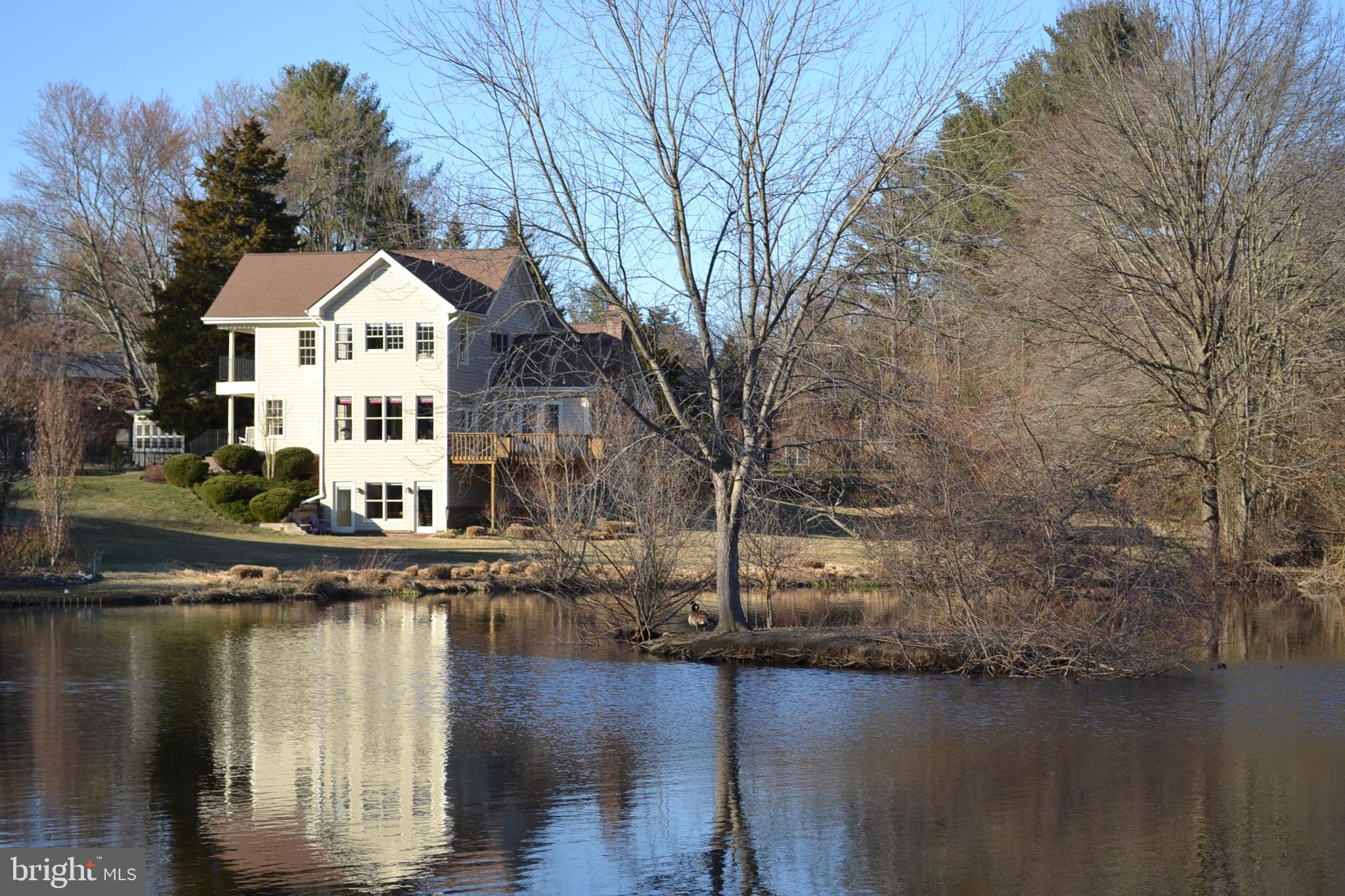 1910 Merrifields Drive Silver Spring, MD 20906 - Photo 29 of 47 View from across the pond in the winter