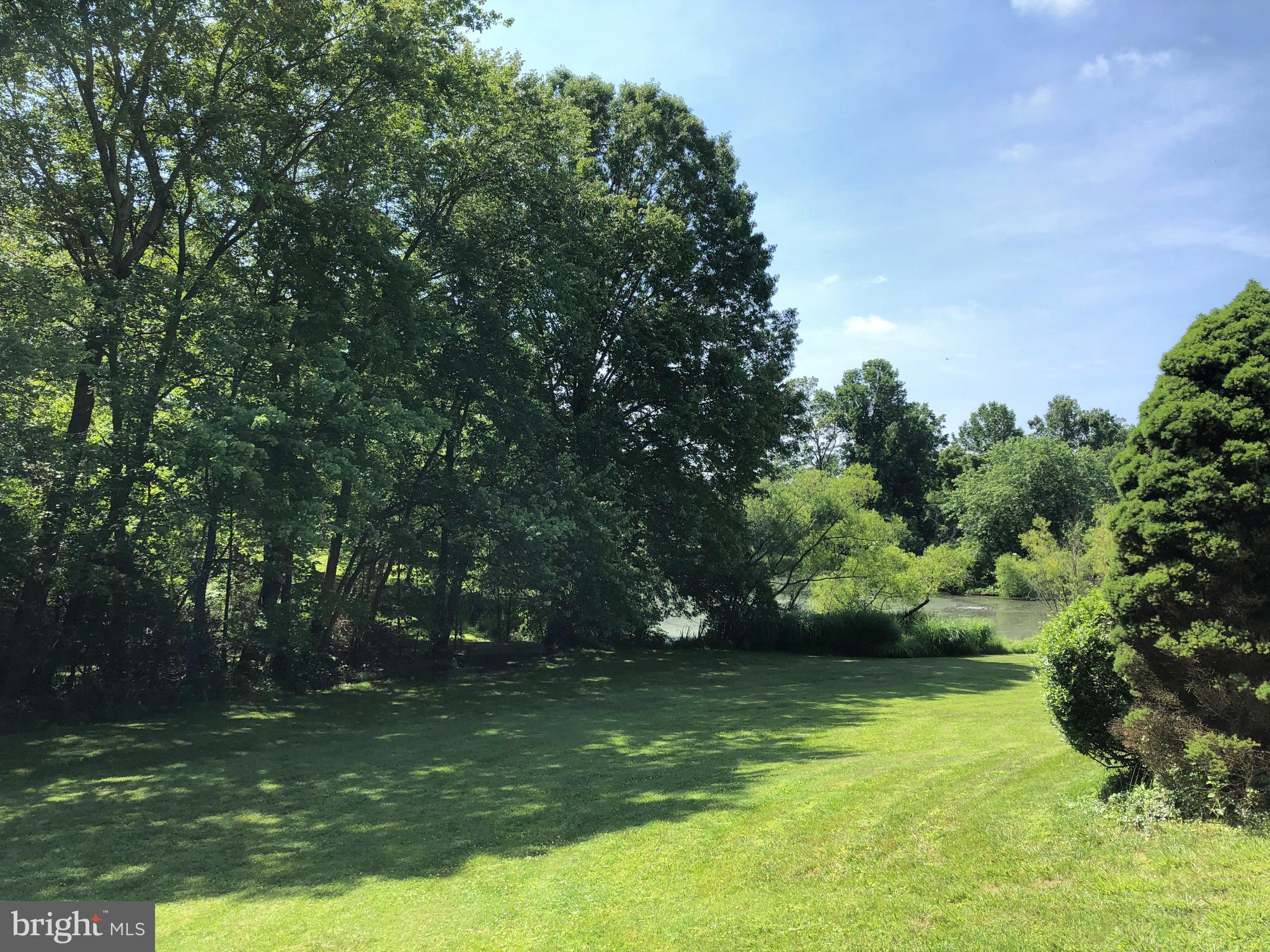 1910 Merrifields Drive Silver Spring, MD 20906 - Photo 42 of 47 Expansive backyard
