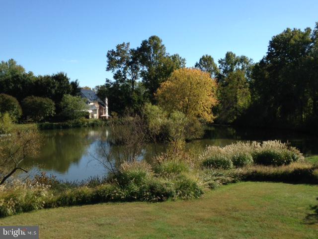 1910 Merrifields Drive Silver Spring, MD 20906 - Photo 45 of 47 Pond in the fall