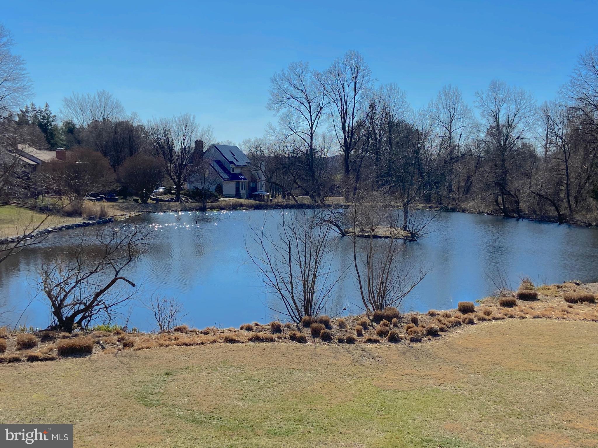 1910 Merrifields Drive Silver Spring, MD 20906 - Photo 46 of 47 View of the pond in the winter