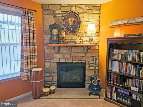 a living room with bookshelf and a fireplace