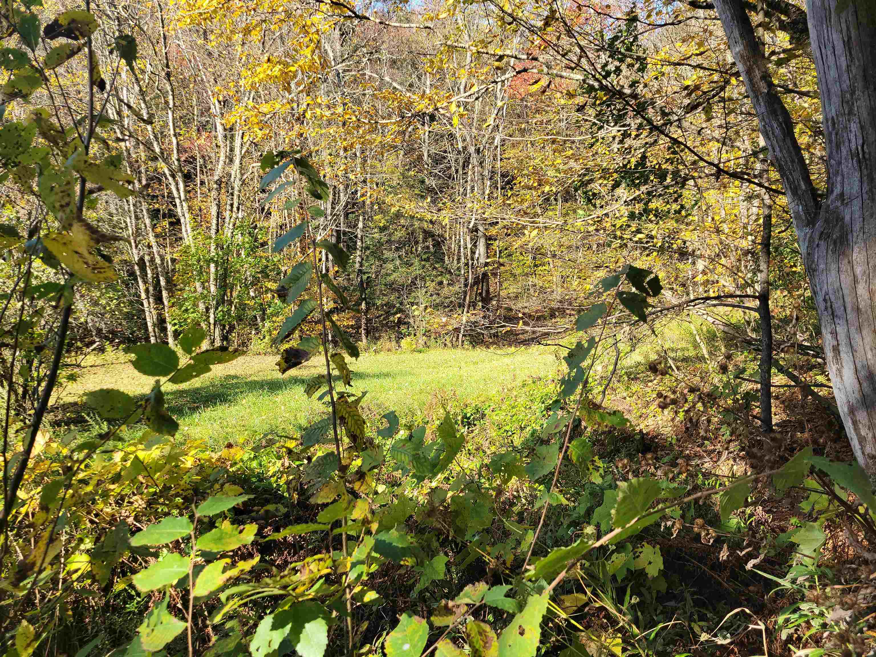 1711 Green Hill Road Danby, VT 05761 - Photo 18 of 27 Gallery Image 18