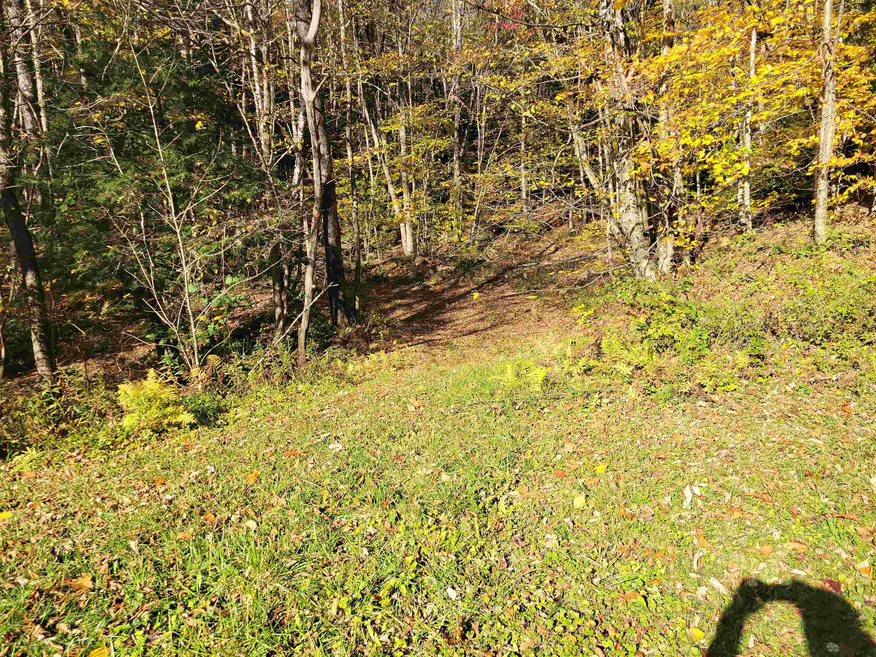 1711 Green Hill Road Danby, VT 05761 - Photo 20 of 27 Gallery Image 20