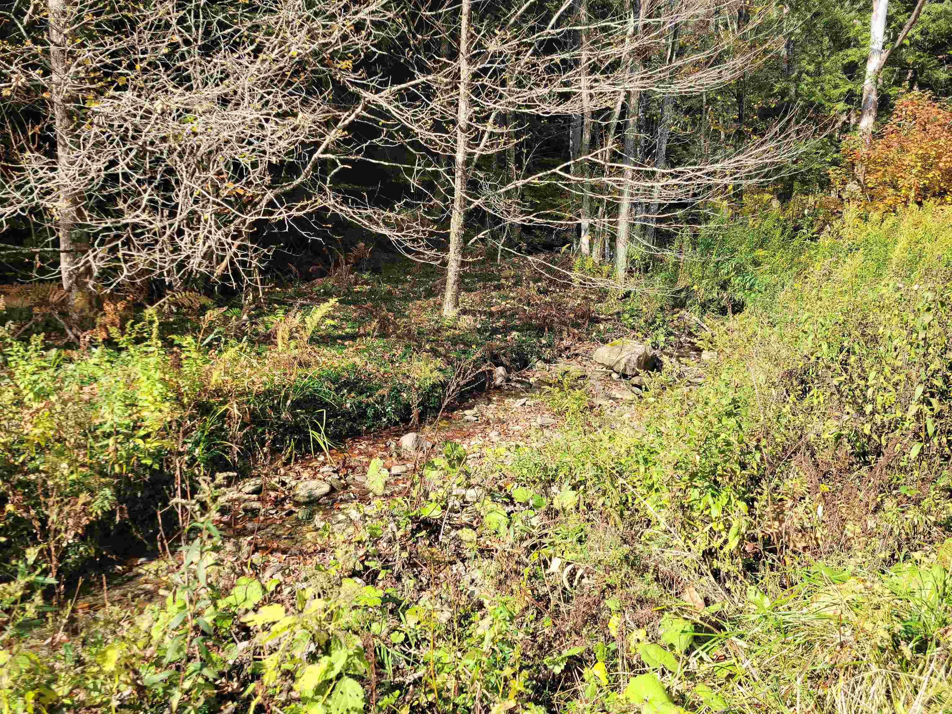 1711 Green Hill Road Danby, VT 05761 - Photo 23 of 27 Gallery Image 23