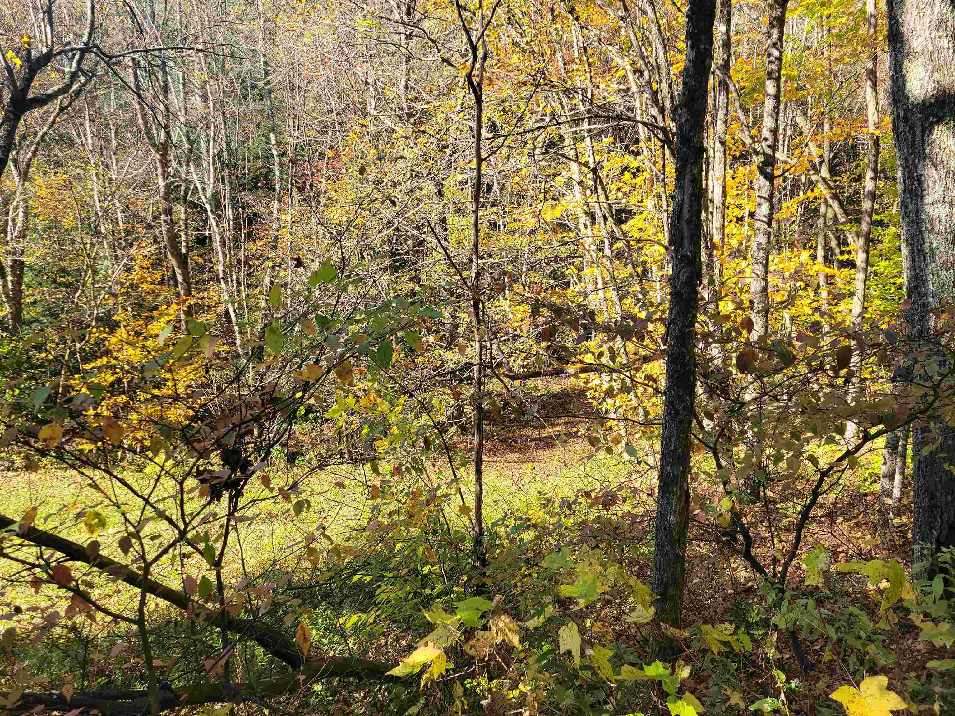1711 Green Hill Road Danby, VT 05761 - Photo 24 of 27 Gallery Image 24