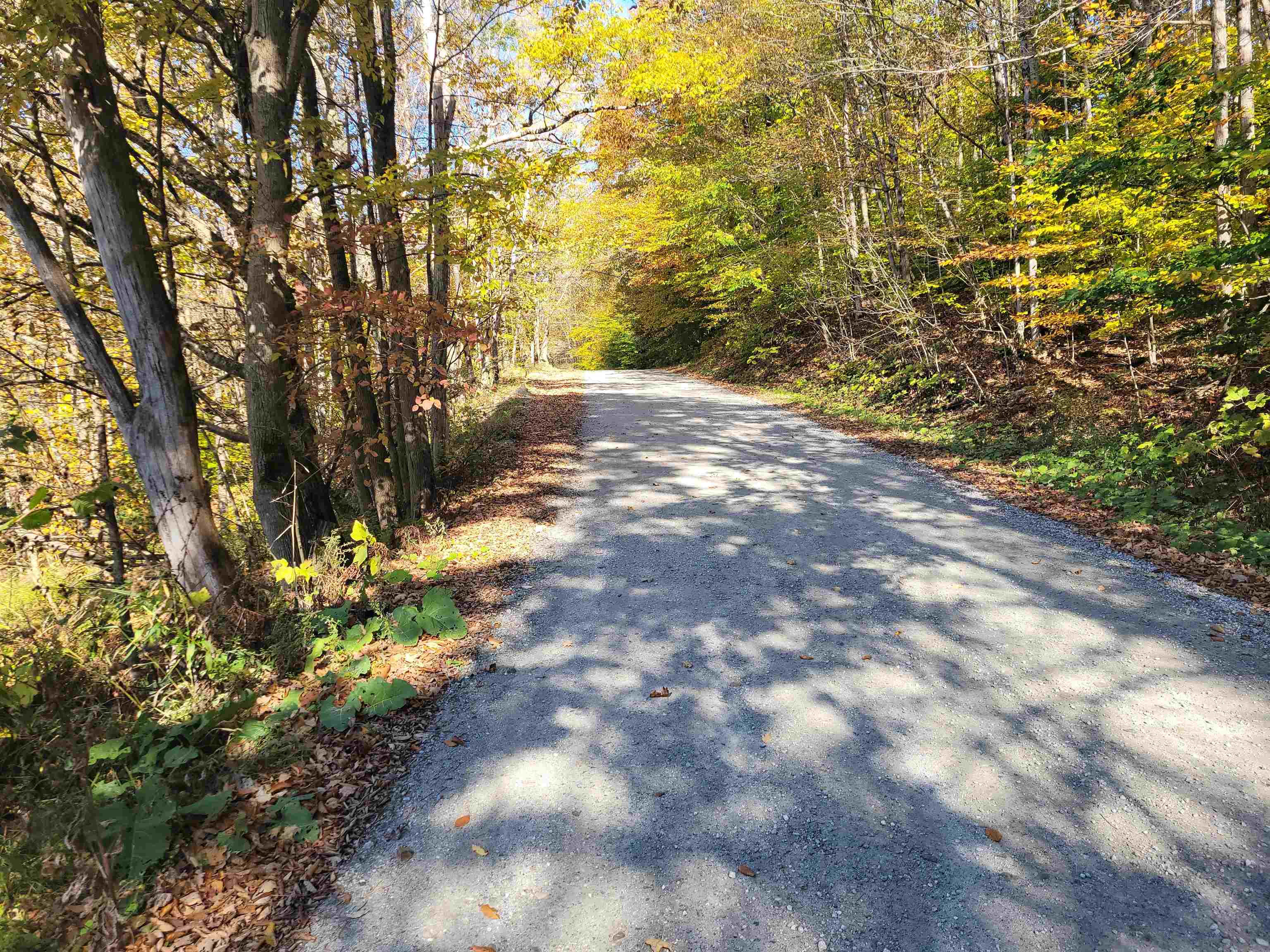 1711 Green Hill Road Danby, VT 05761 - Photo 26 of 27 Gallery Image 26