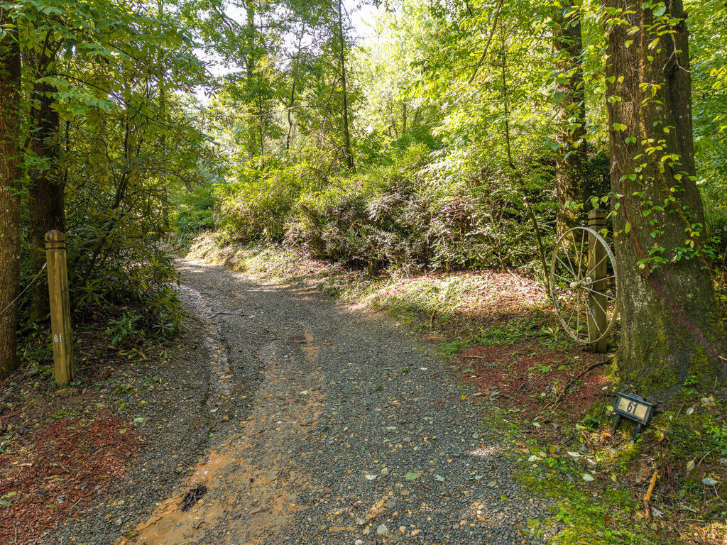 61 Wilderness Road Ellijay, GA 30540 - Photo 10 of 67 Gallery Image 10