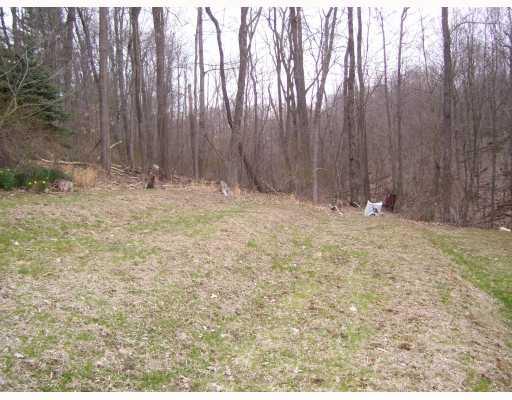 2107 Dime Road Vandergrift, PA 15690 - Photo 4 of 10 Land/Lot.