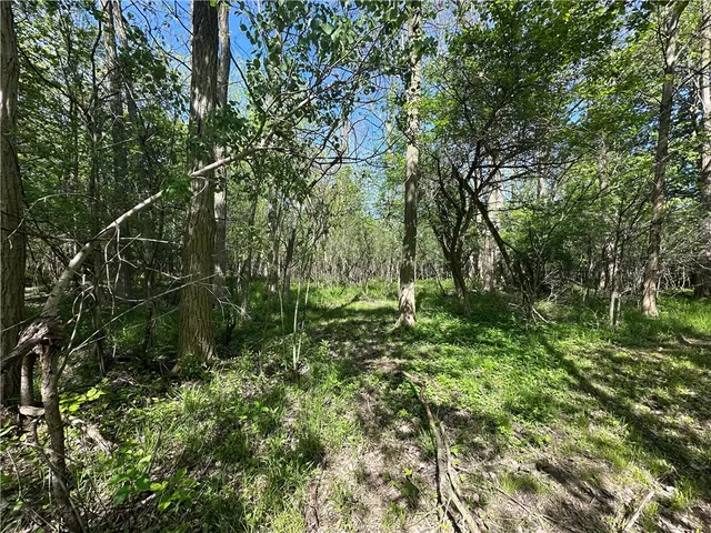 $40,000 | Meadowbrook Parkway, Buffalo, NY 14219