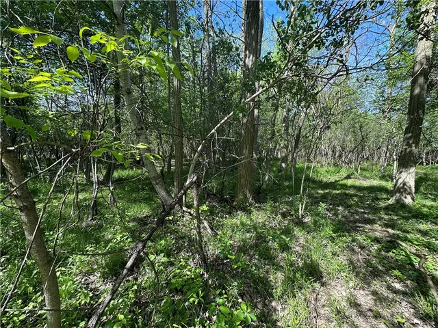 $40,000 | Meadowbrook Parkway, Buffalo, NY 14219