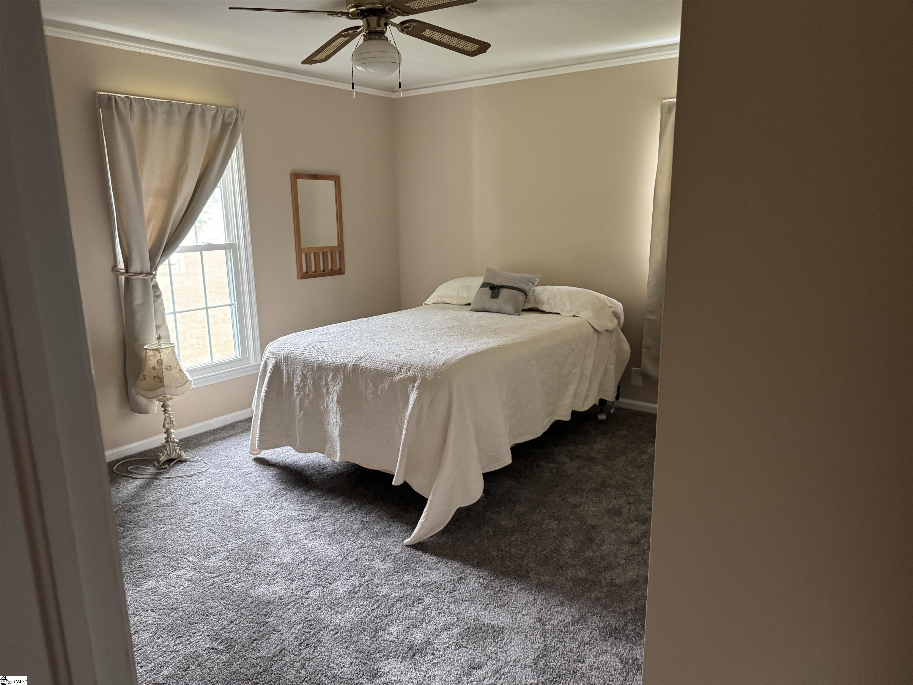 141 Long Cane Lane Pelzer, SC 29669 - Photo 7 of 19