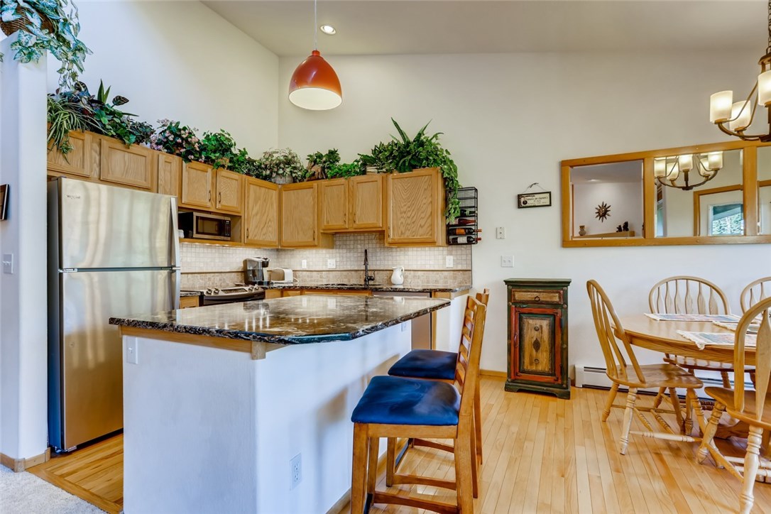 91499 Ryan Gulch Road, Unit B2 Silverthorne, CO 80498 - Photo 10 of 28 Gallery Image 10