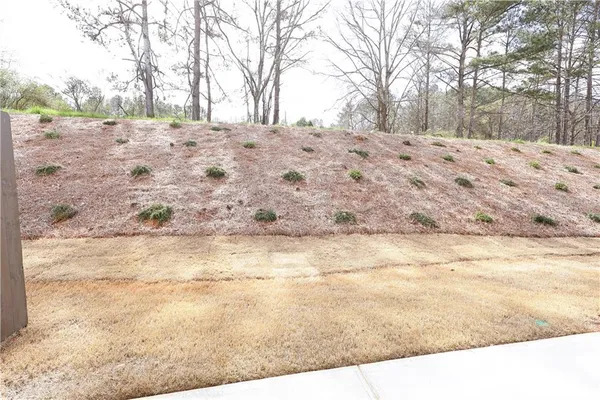 a view of a yard covered with snow in the background