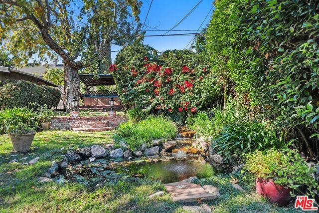 a view of a backyard with plants and a fountain
