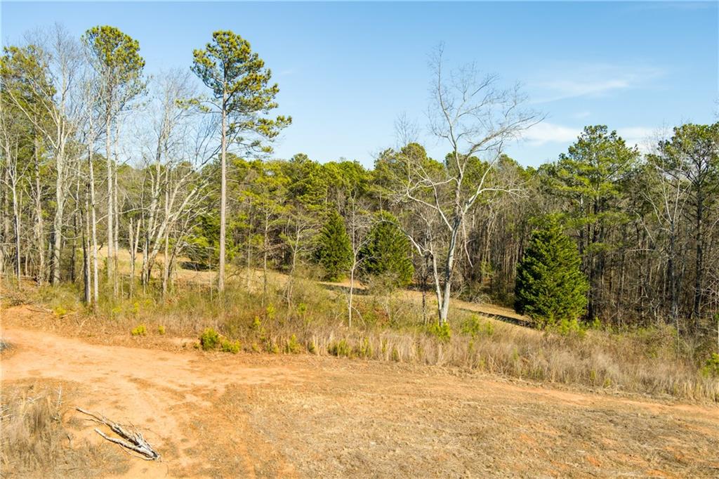 170 Sperin Cabinet Shop Road Ball Ground, GA 30107 - Photo 17 of 19