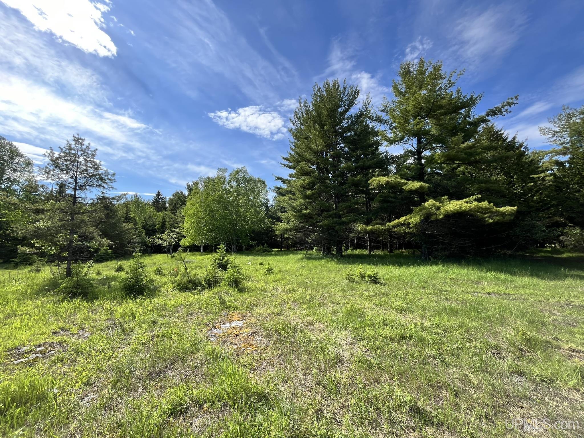 Tbd 16th Road Garden, MI 49835 - Photo 29 of 37