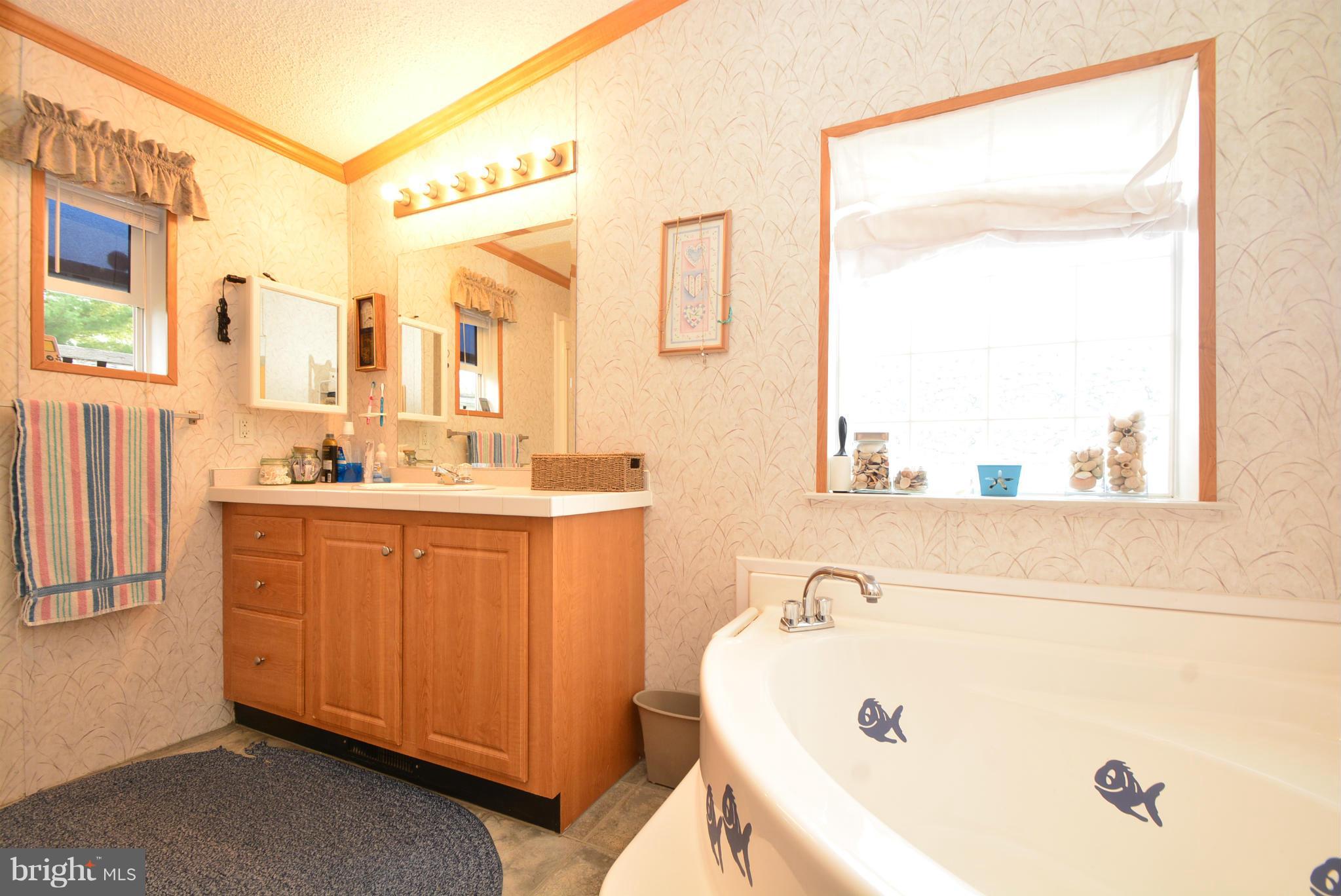 3510 Wagon Train Road Baltimore, MD 21220 - Photo 20 of 30 Bath (Master)