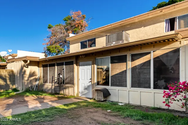 a view of a backyard with plants and palm tree
