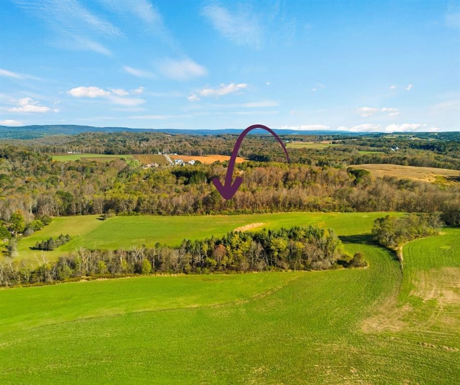 0 Klink Hollow Road Rockwood, PA 15557 - Photo 3 of 7 a view of a lake with a big yard