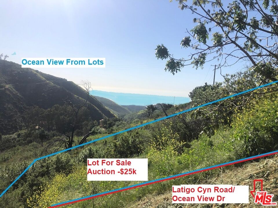 4218 Latigo Canyon Road Malibu, CA 90265 - Photo 3 of 11