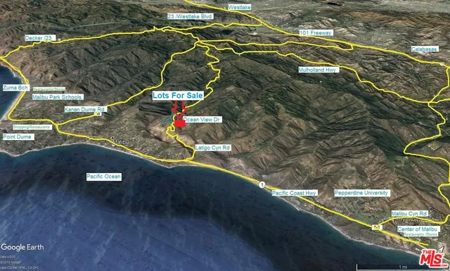 a view of a yard with plants