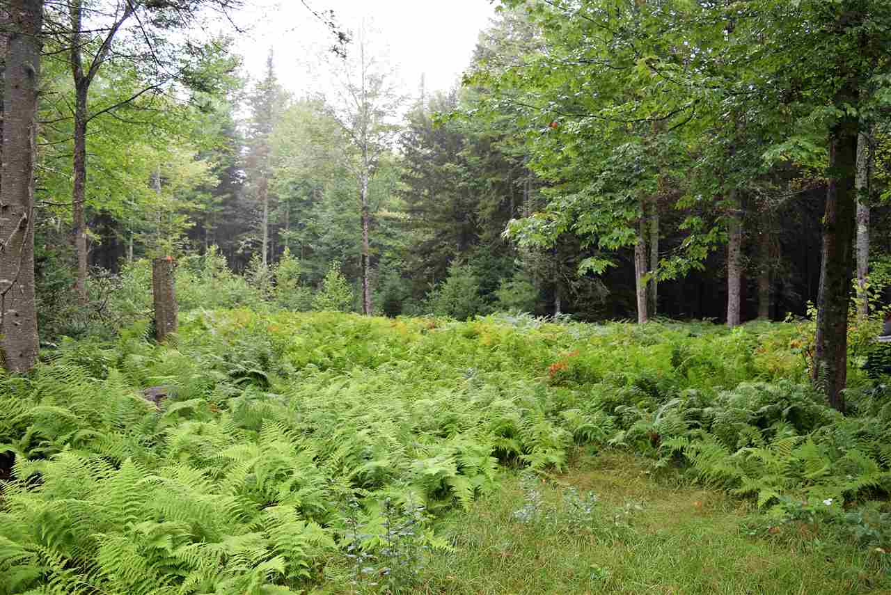 694 Wentworth Road Lunenburg, VT 05906 - Photo 1 of 11