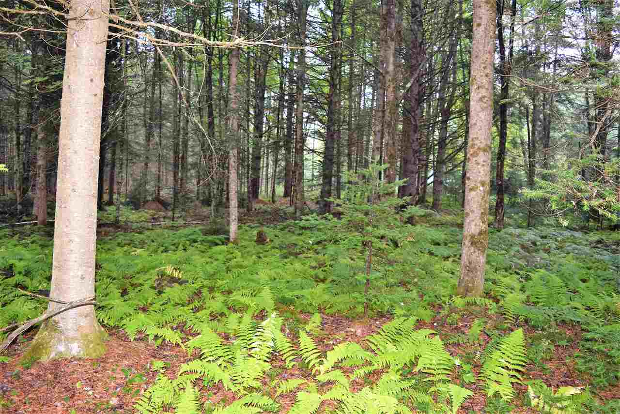 694 Wentworth Road Lunenburg, VT 05906 - Photo 6 of 11