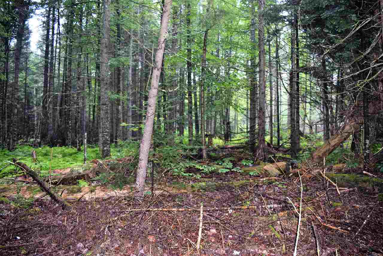 694 Wentworth Road Lunenburg, VT 05906 - Photo 7 of 11