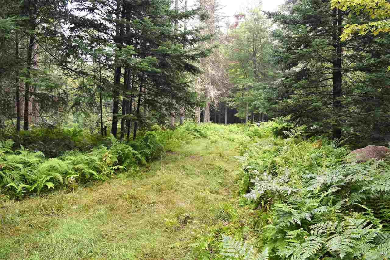 694 Wentworth Road Lunenburg, VT 05906 - Photo 9 of 11