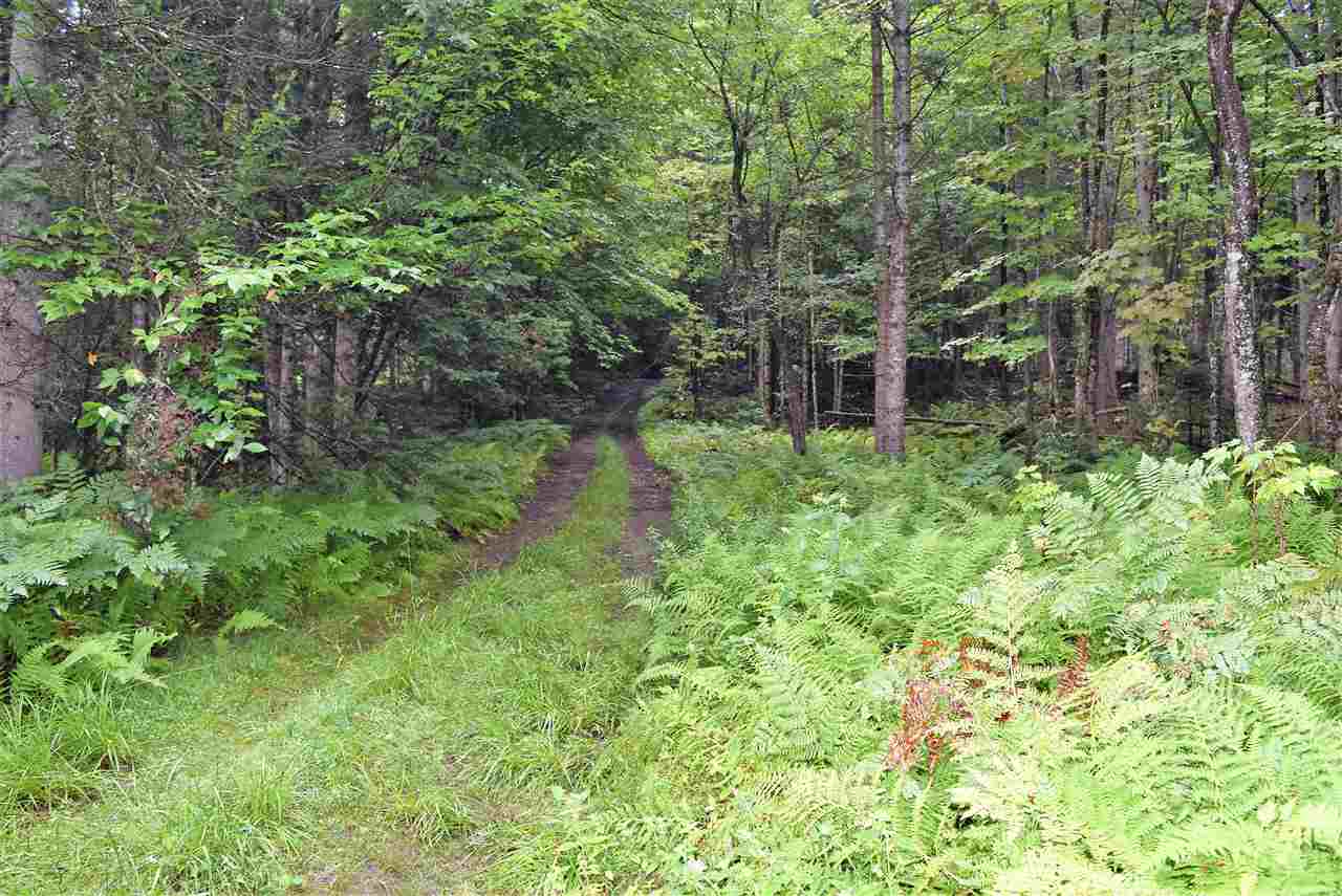 694 Wentworth Road Lunenburg, VT 05906 - Photo 10 of 11