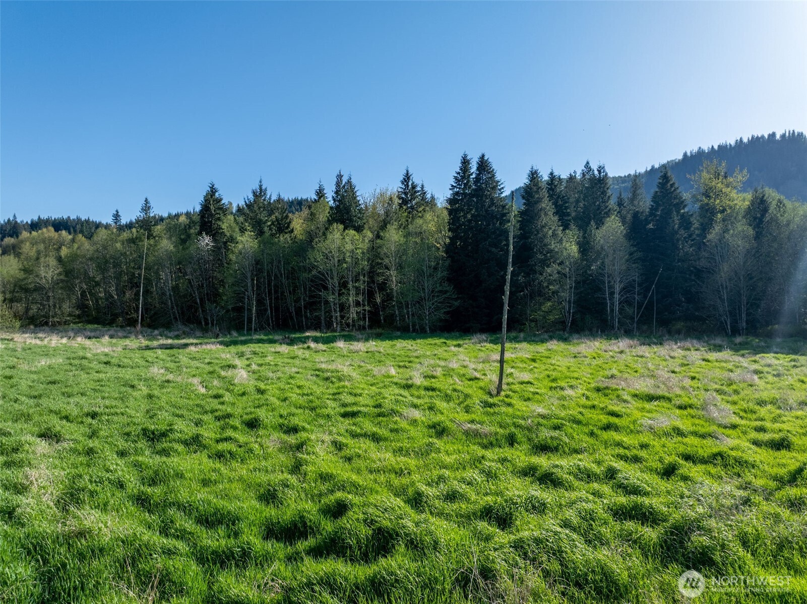 0 Davis Lake Road Morton, WA 98356 - Photo 9 of 25