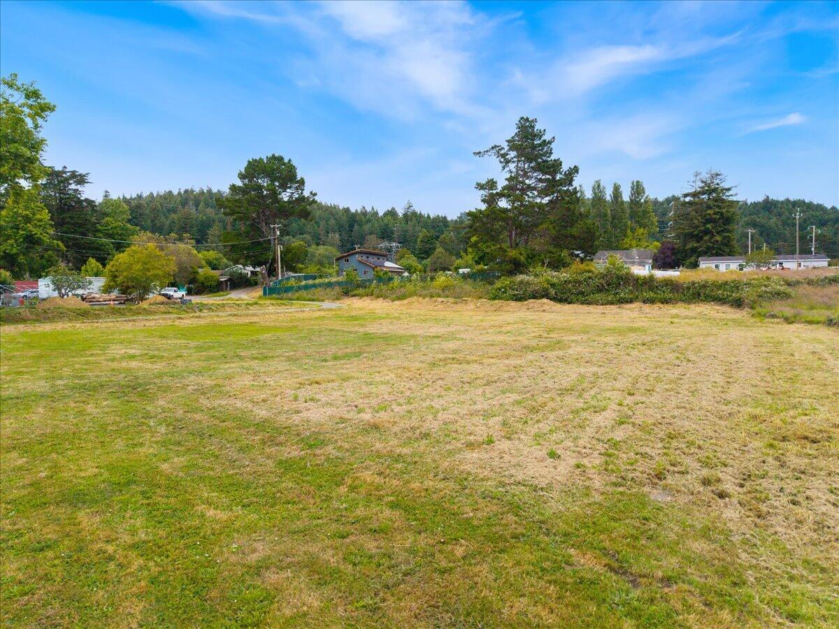 1196 Freshwater Road Eureka, CA 95503 - Photo 30 of 34 a view of an ocean from a yard