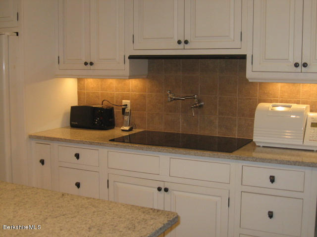 310 Dalton Division Road Pittsfield, MA 01201 - Photo 3 of 39 kitchen