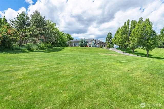 a view of field with trees in the background