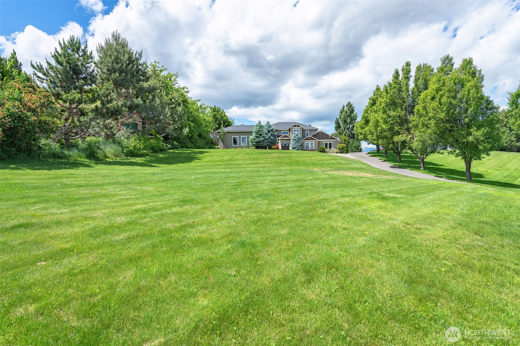a view of field with trees in the background