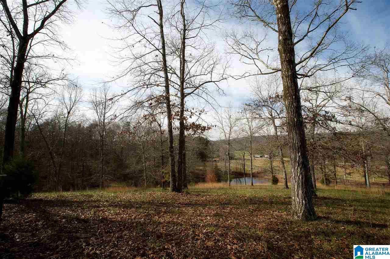 1850 Highway 132 Oneonta, AL 35121 - Photo 13 of 43