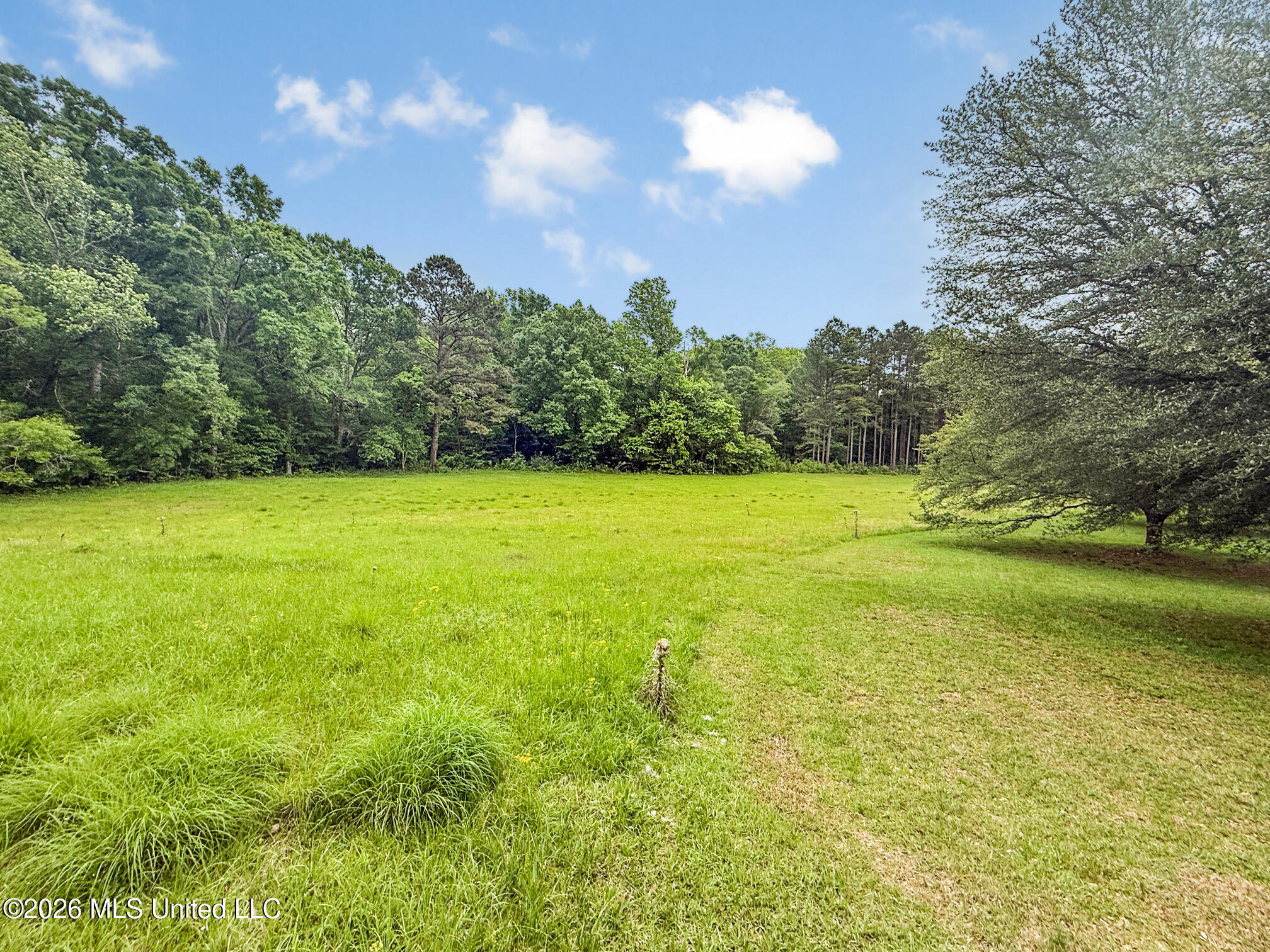 2039 Perrott Road McComb, MS 39648 - Photo 6 of 68 IMG_3239
