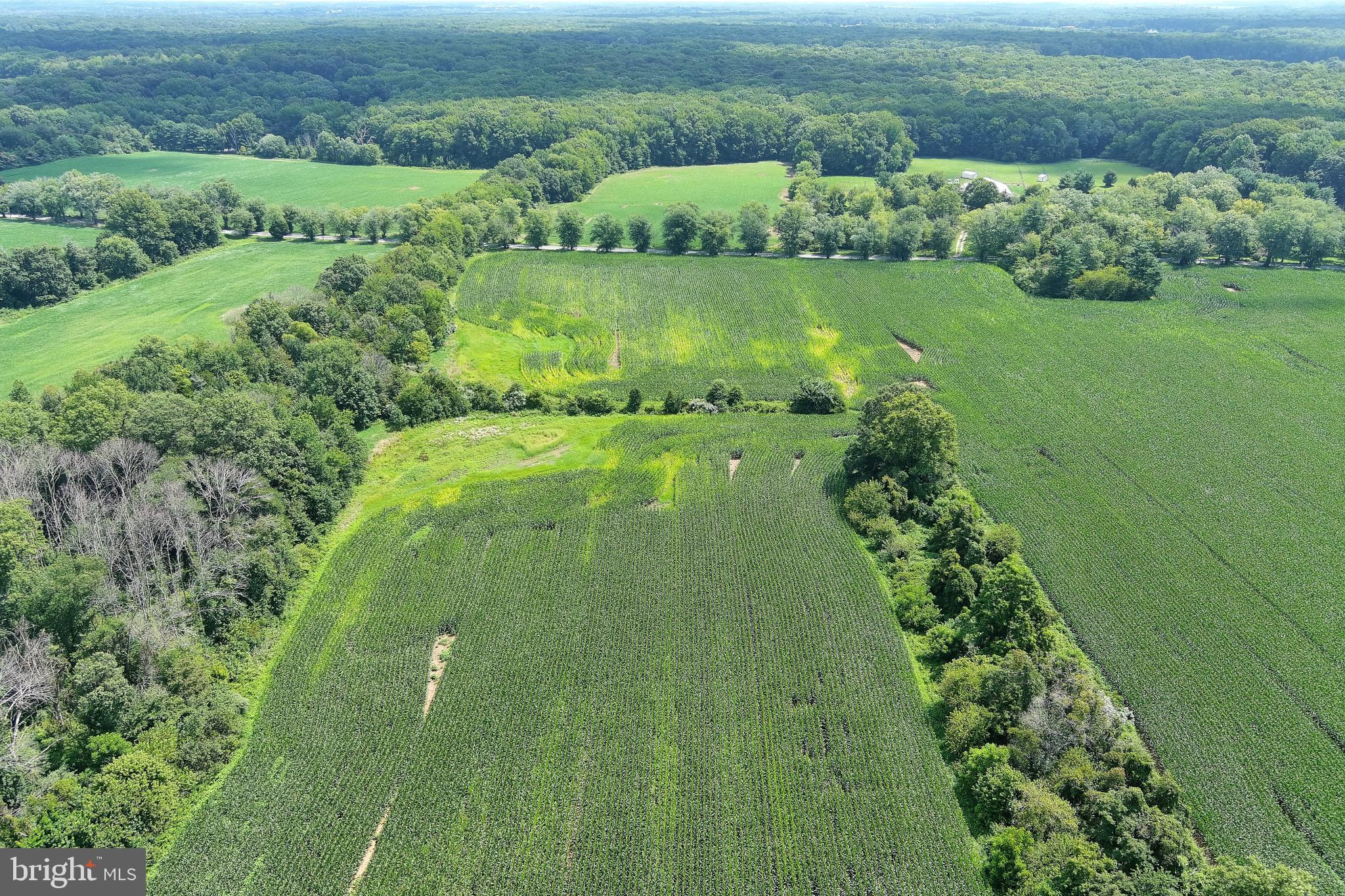 40 Hackett Road Woodstown, NJ 08098 - Photo 11 of 33