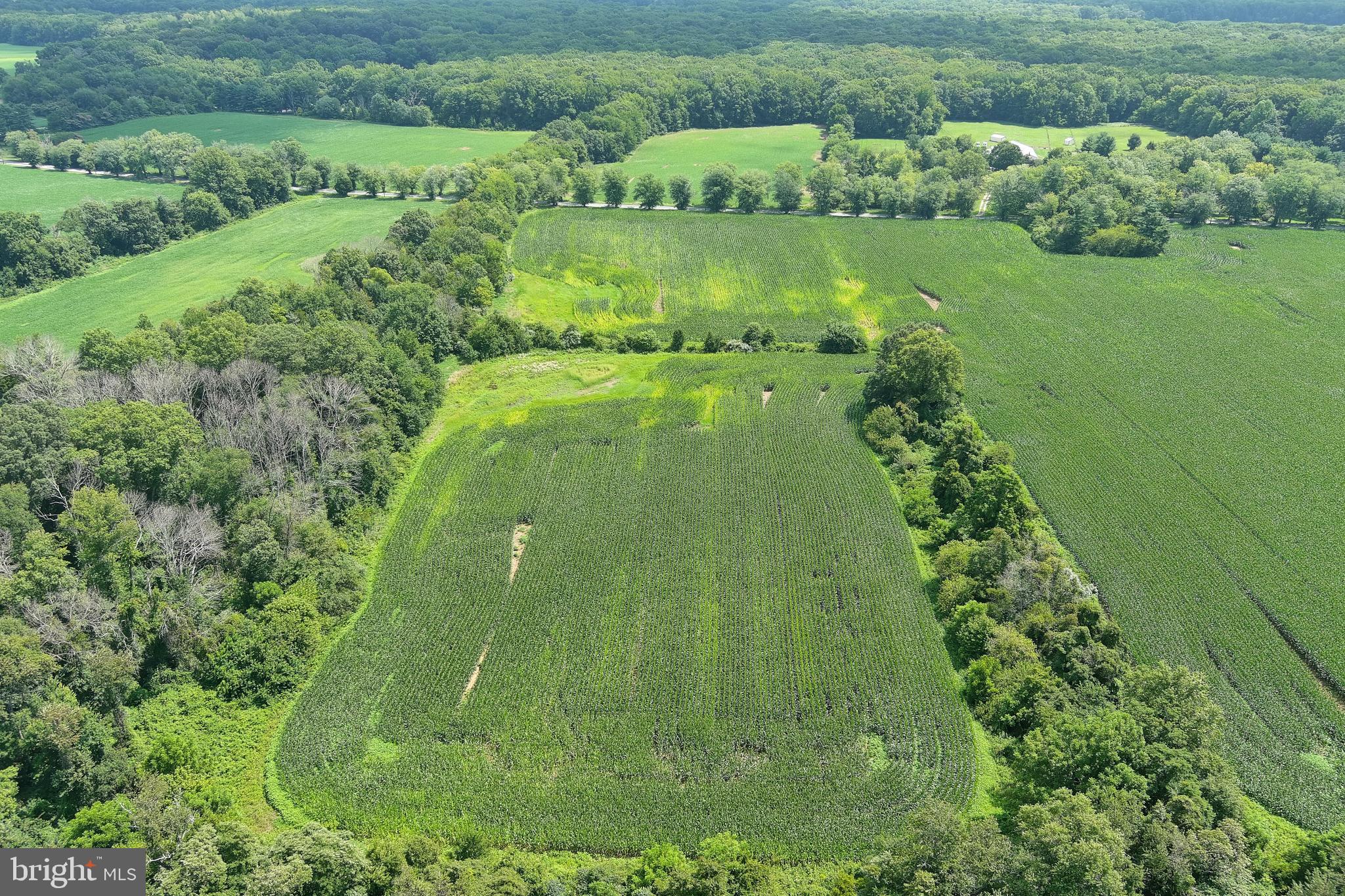 40 Hackett Road Woodstown, NJ 08098 - Photo 12 of 33