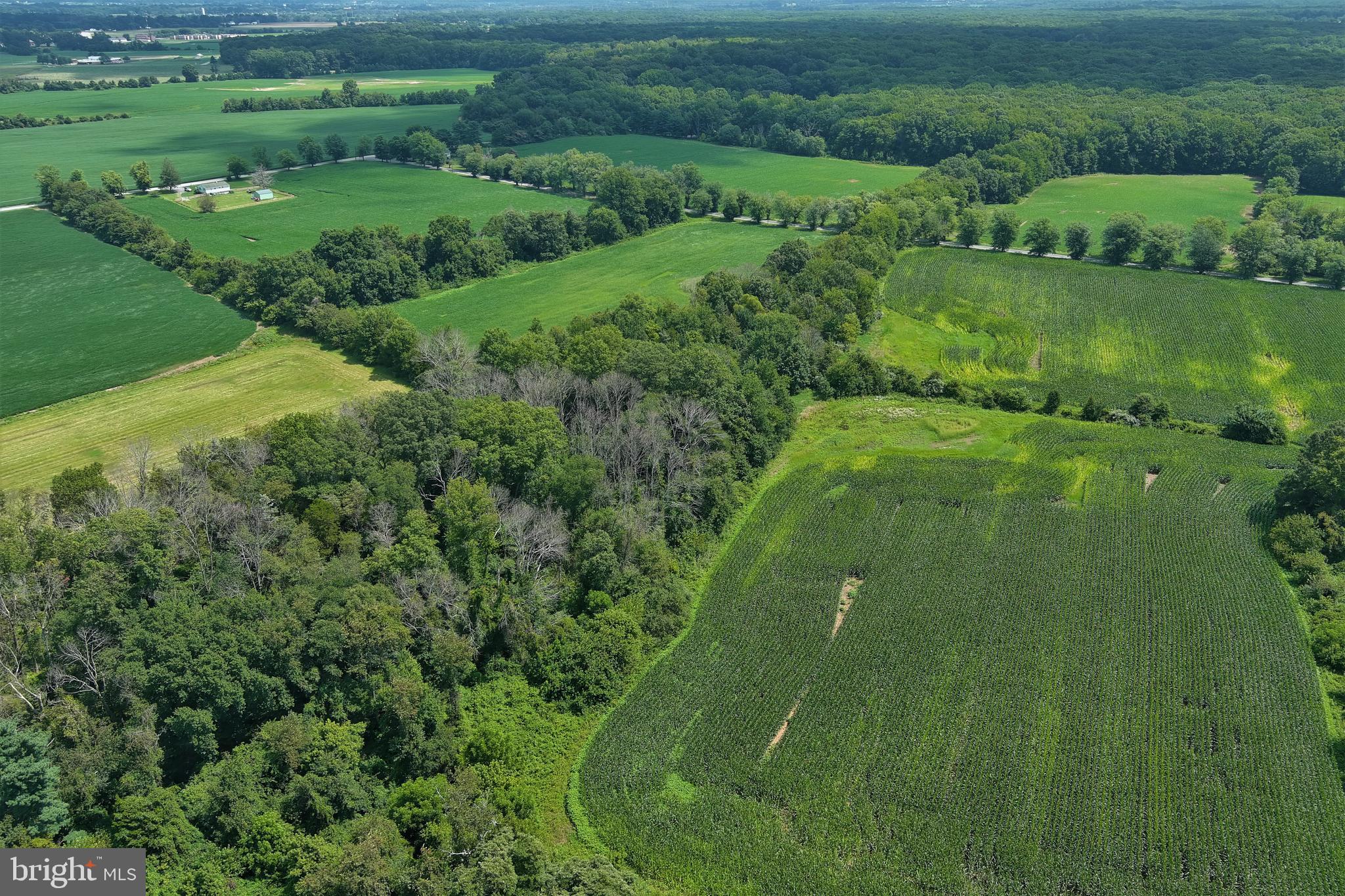 40 Hackett Road Woodstown, NJ 08098 - Photo 13 of 33