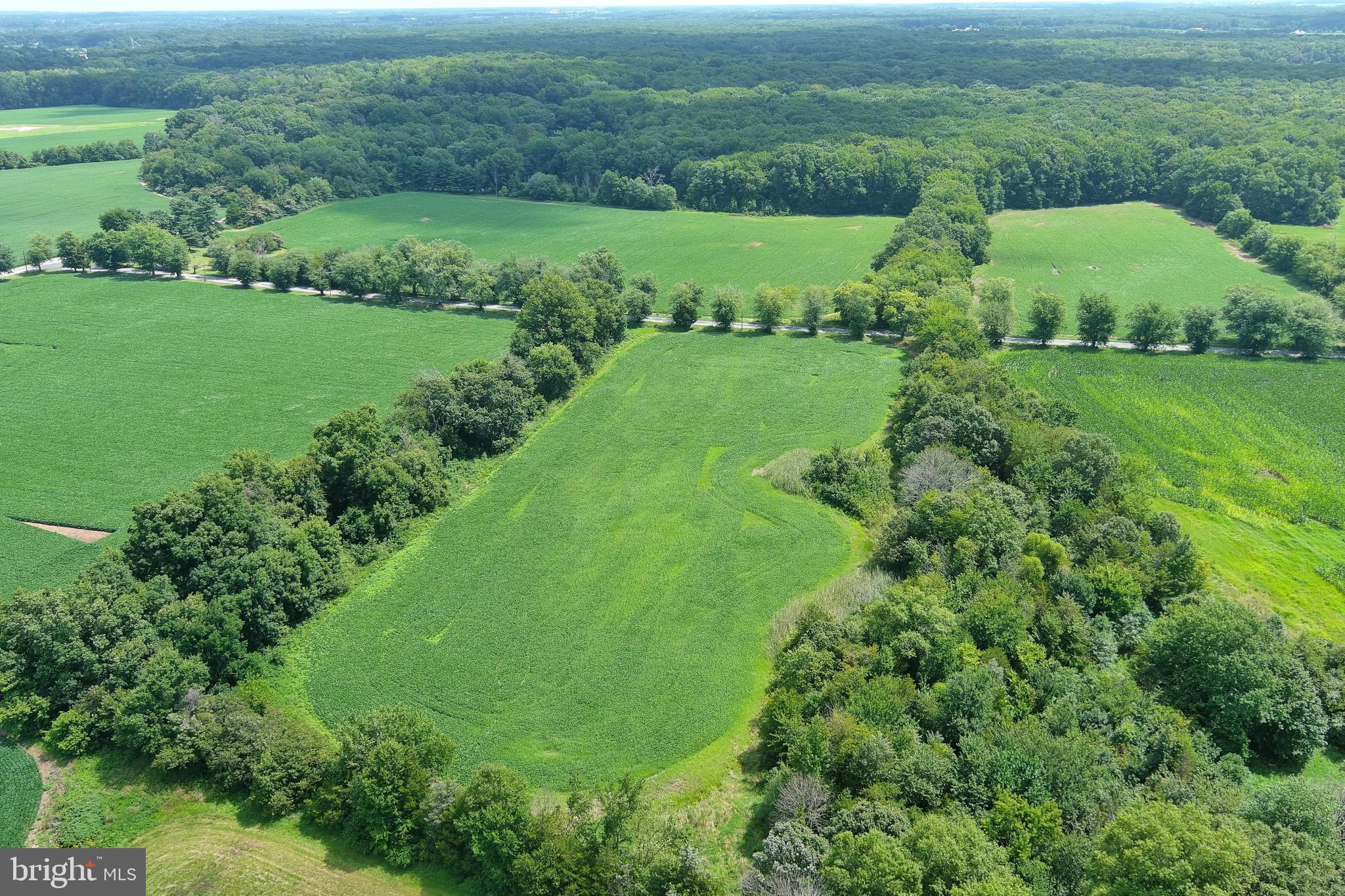 40 Hackett Road Woodstown, NJ 08098 - Photo 14 of 33