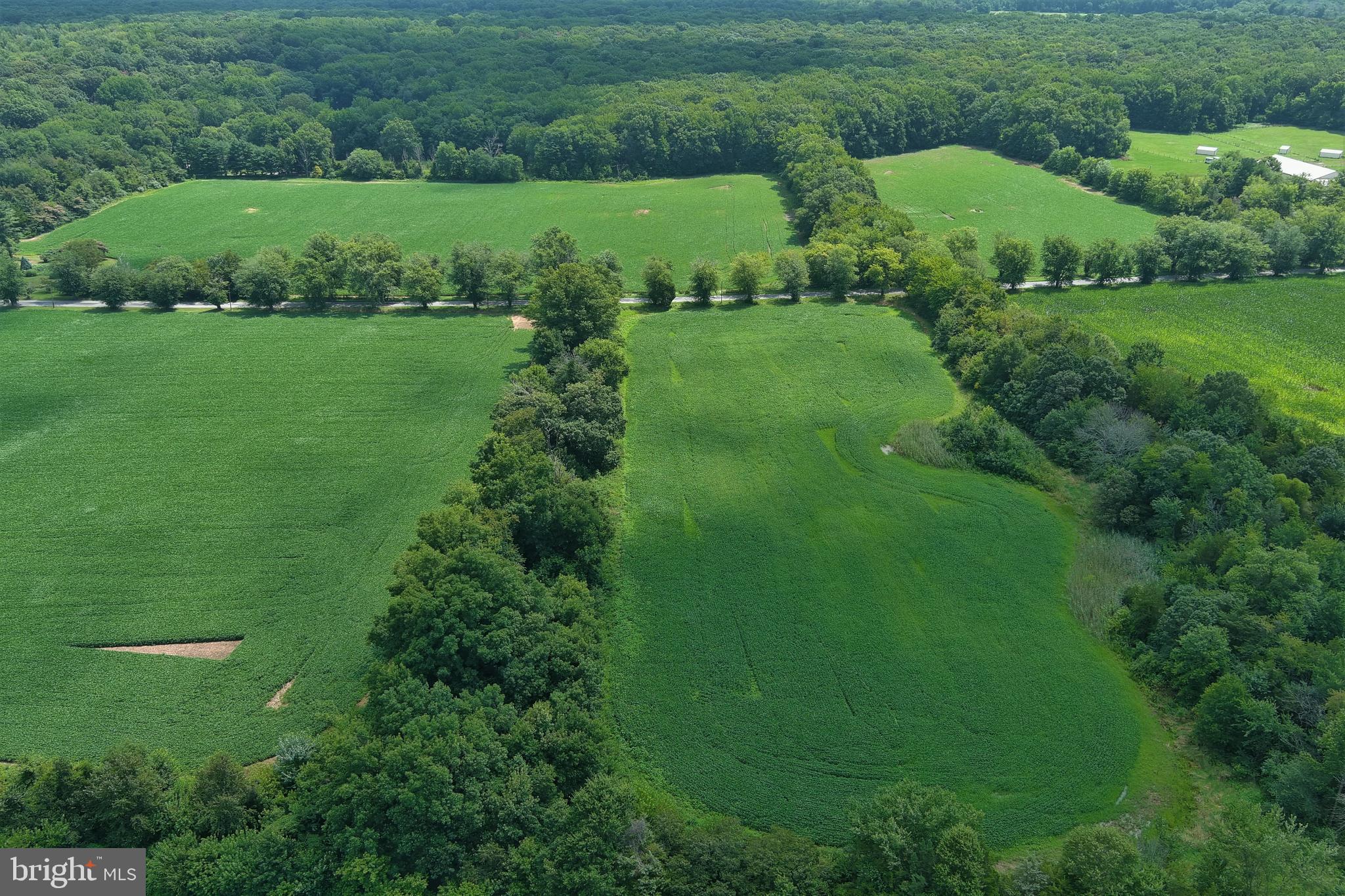 40 Hackett Road Woodstown, NJ 08098 - Photo 15 of 33