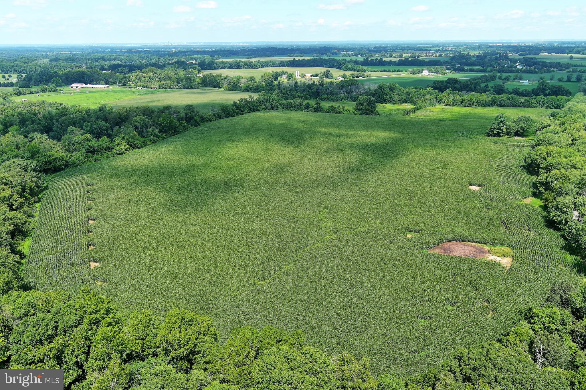 40 Hackett Road Woodstown, NJ 08098 - Photo 2 of 33