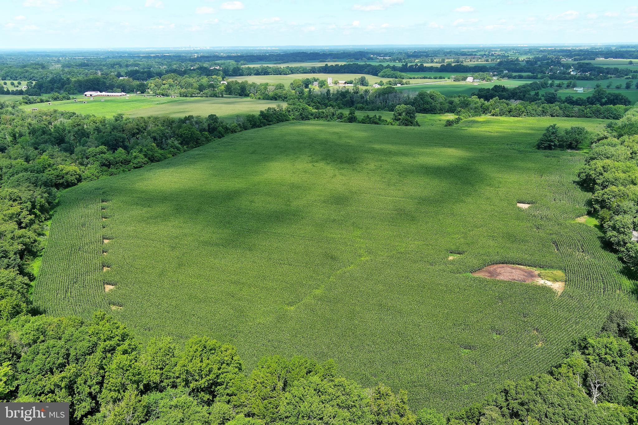 40 Hackett Road Woodstown, NJ 08098 - Photo 3 of 33