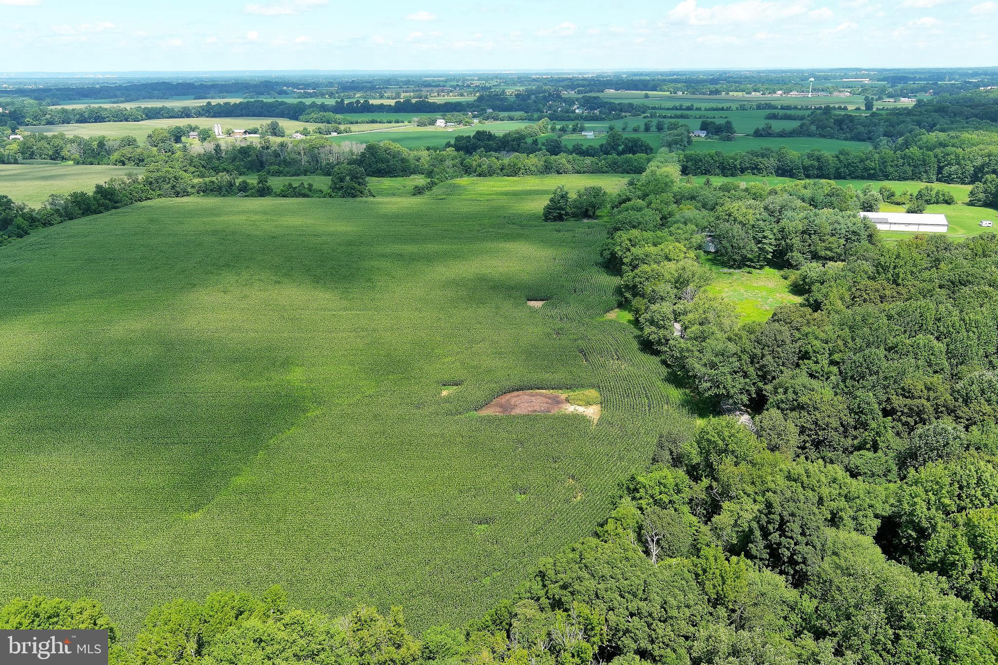 40 Hackett Road Woodstown, NJ 08098 - Photo 4 of 33